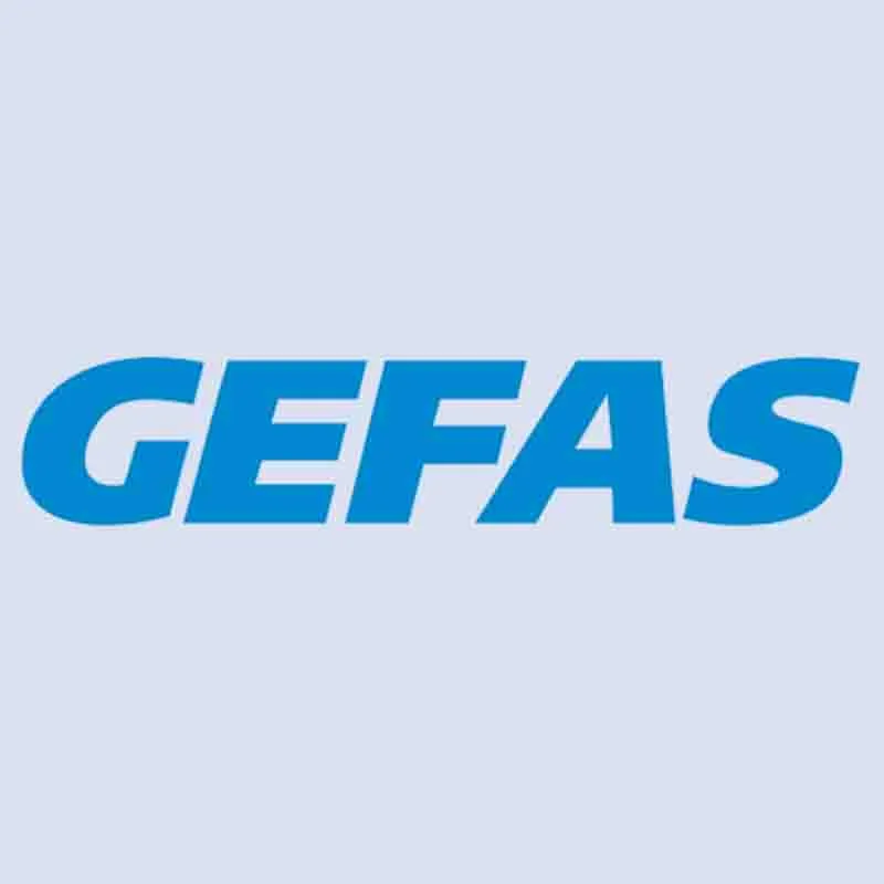 Gefas